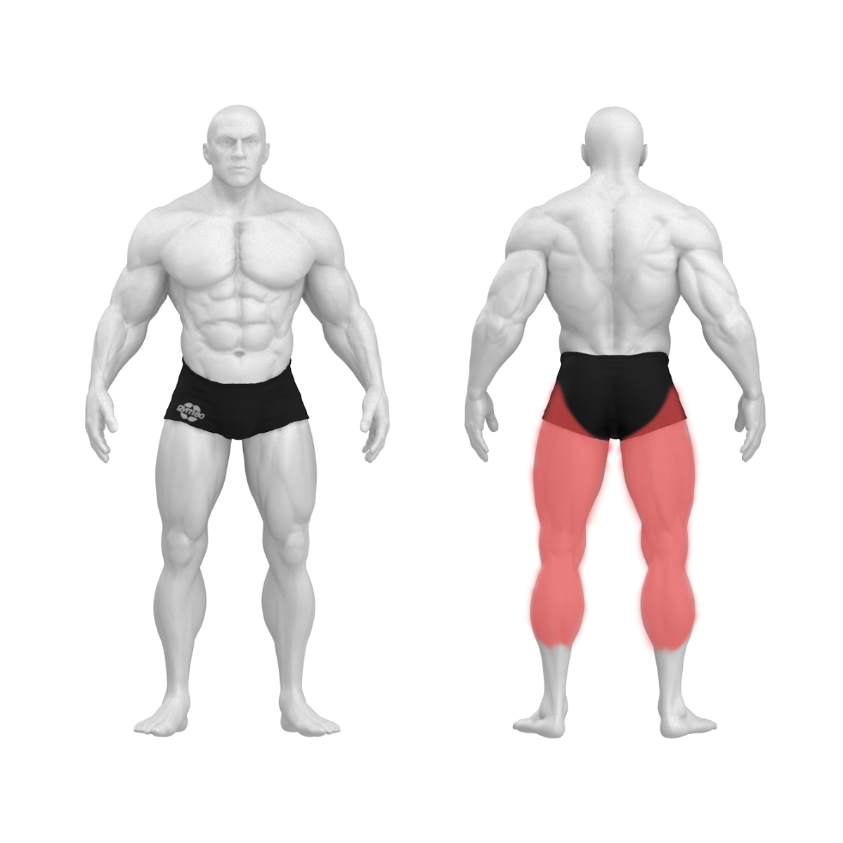 gym80 Vastassuunas jalakõverdajamasin, Pure Kraft, muscles. Tootekood: 00004375