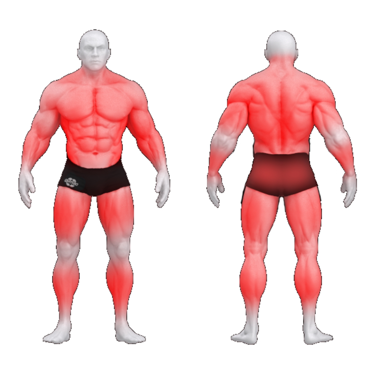 Gym80 Universaalne pulley-masin Sygnum, muscles. Tootekood: 4134