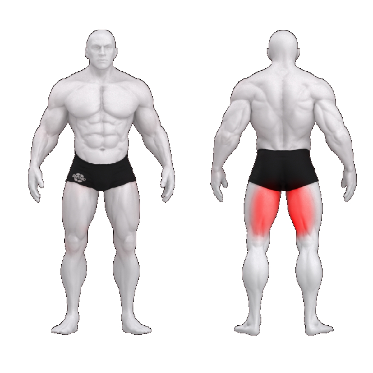 Gym80 Seistes jalgade kõverdamise masin, Pure Kraft, muscles. Tootekood: 4373