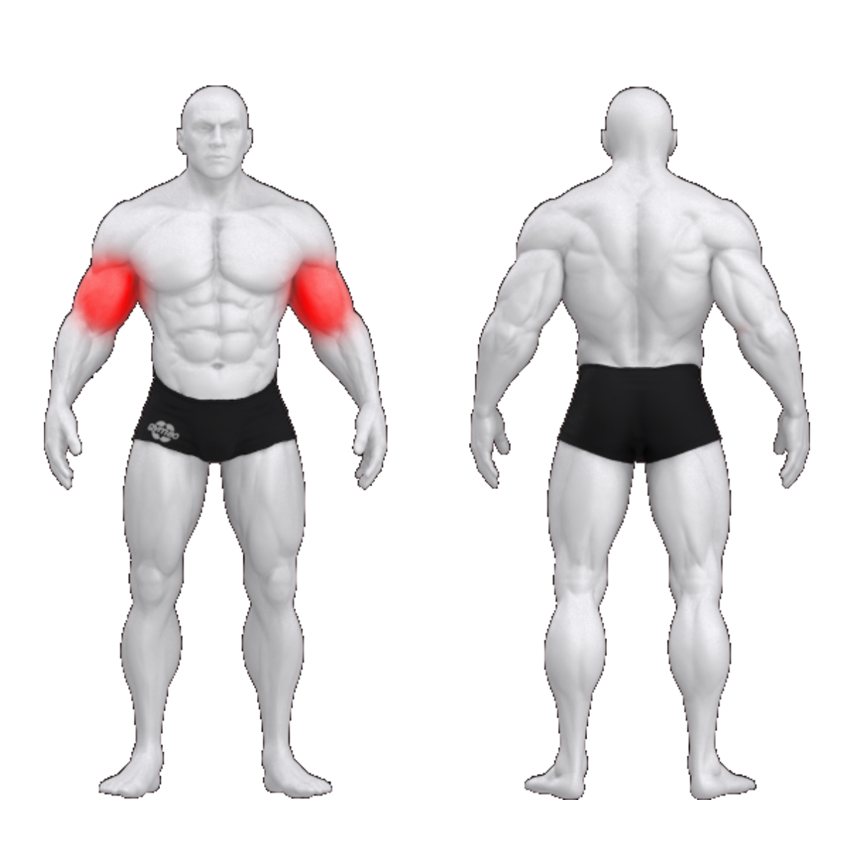 Gym80 Dual-funktsiooniga biitsepsi painutusmasin, muscles. Tuotekood: 00004355