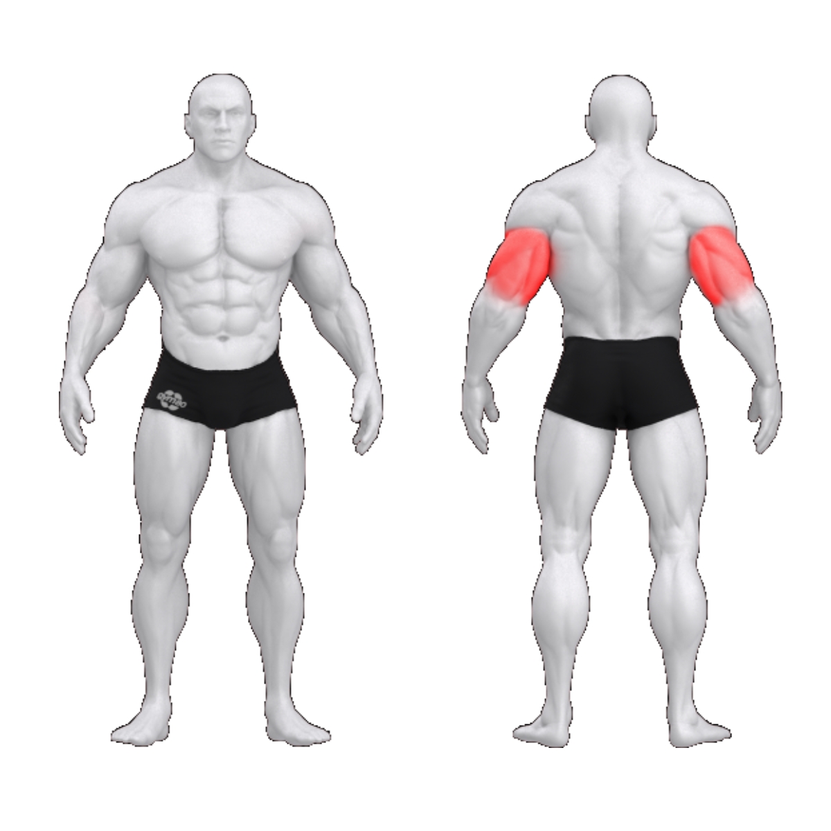 gym80 Overhead Triceps, Pure Kraft_muscles. Tootekood: 00004379