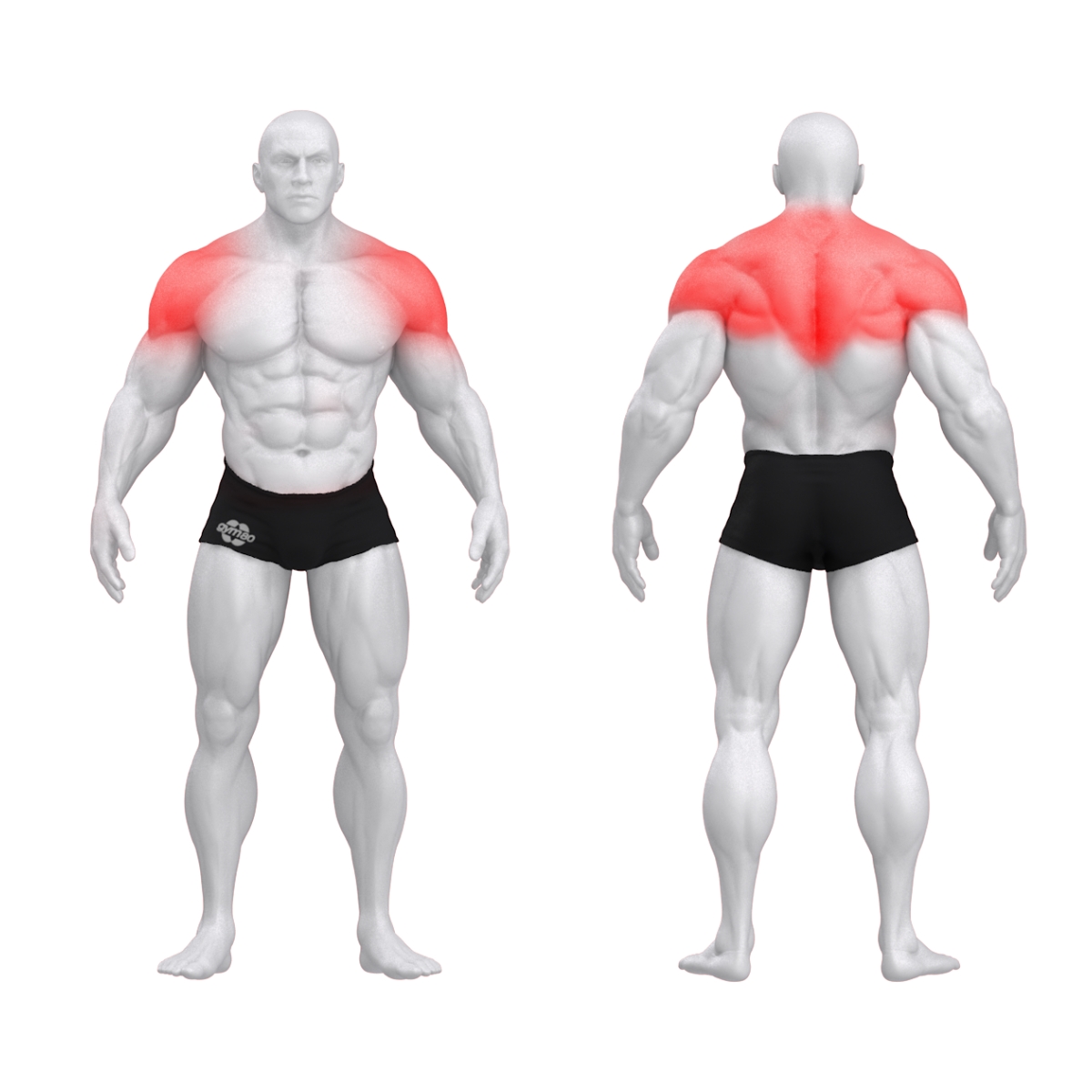 Gym80 Viikingi press, Pure Kraft, muscles. Tootekood: 4388