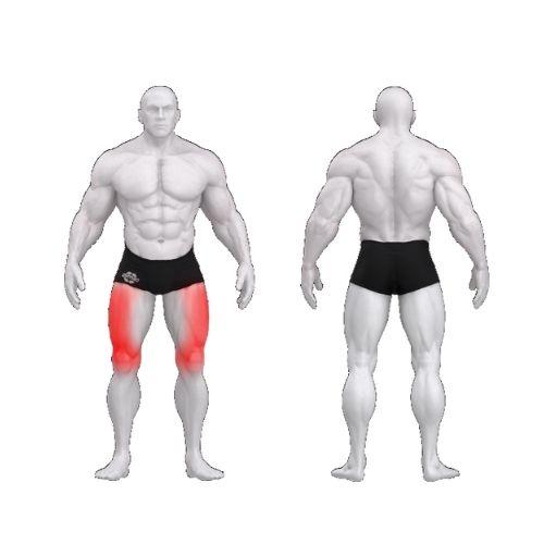 Gym80 Reie sirutusmasin, Sygnum Standard, muscles. Tuotekood: 3001