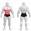 Gym80 Sygnum Basic kõhulihase pink, muscles. Tuotekood: 00004165