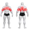 Gym80 Abistava vasturaskusega dip- ja lõuatõmbe plokkmasin, Sygnum Standard, muscles. Tootekood: 3017