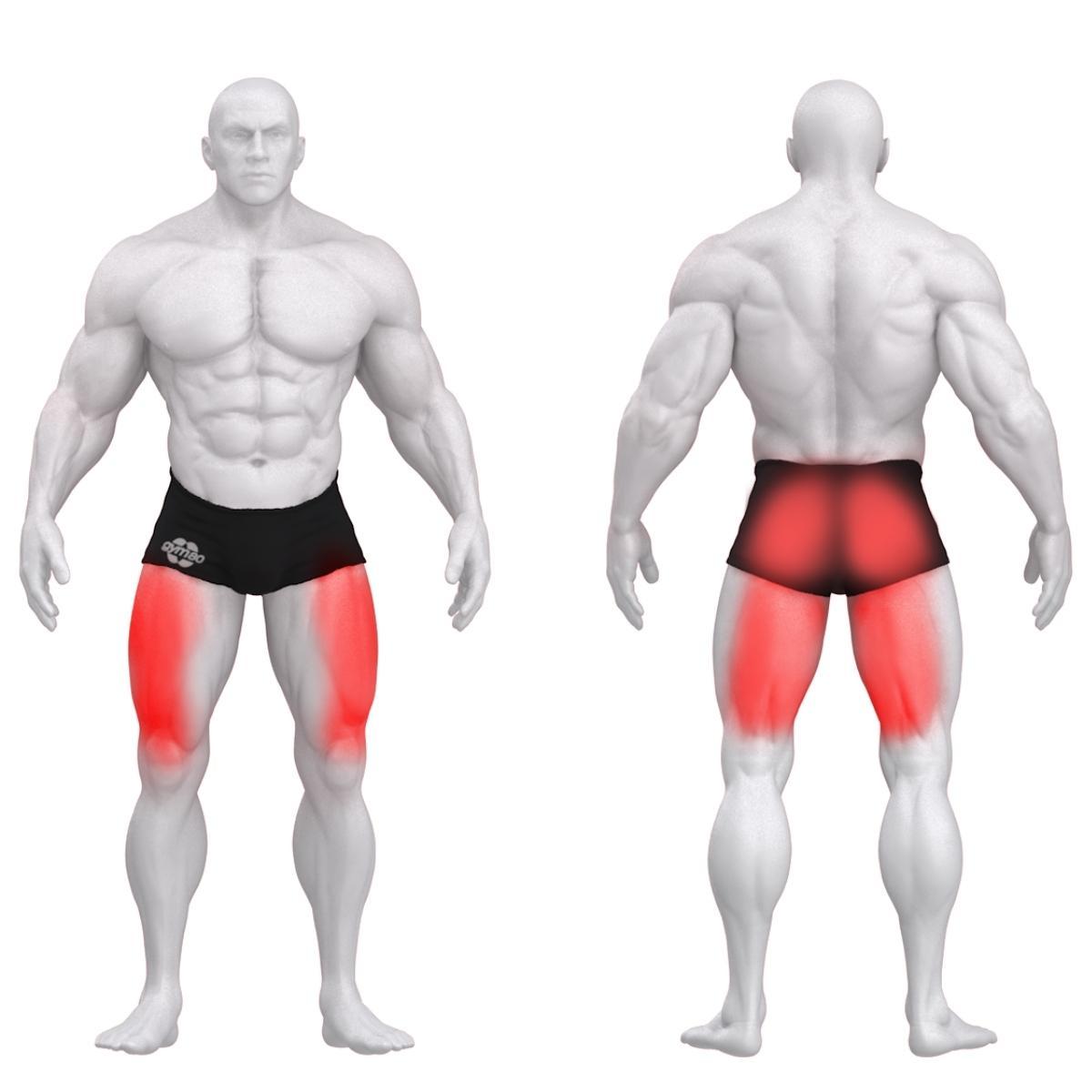 Gym80 Pure Kraft Vööga kükimasin, muscles. Tuotekood: 00004360