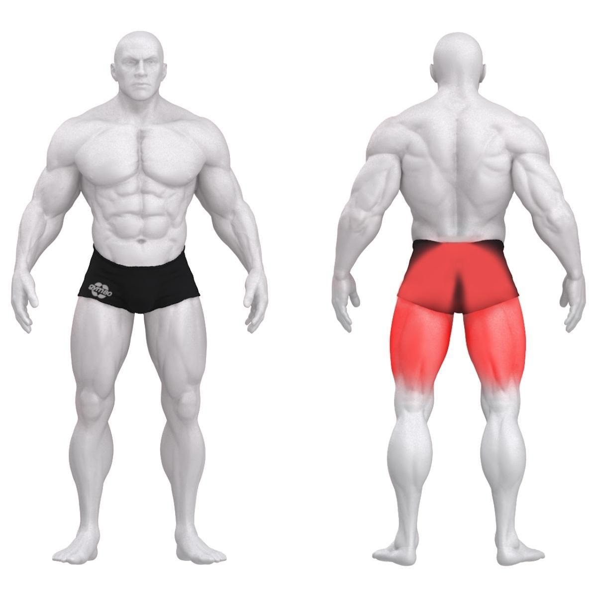 Gym80 Pure Kraft Tuharamasin, raskusketastega laetav, muscles. Tuotekood: 00004352