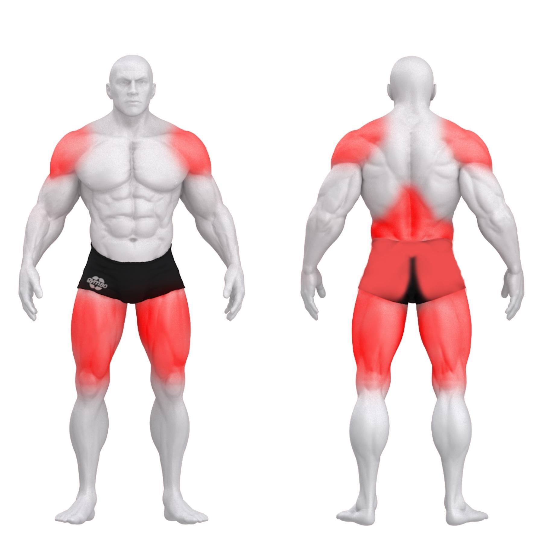 Gym80 Jõutõmbemasin pööratavate käepidemetega, raskusketastega laetav, Pure Kraft, muscles. Tuotekood: 00004332