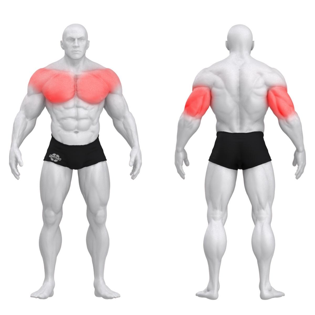 Gym80 DUAL triitsepsi dip-masin, Pure Kraft, muscles. Tootekood: 4335