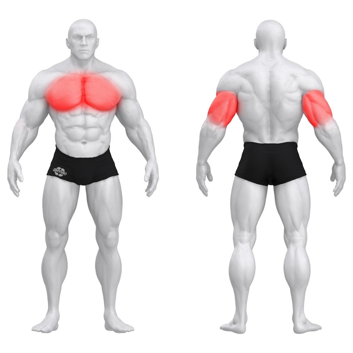 Gym80 Lamades surumise masin, raskusketastega laetav, Pure Kraft, muscles. Tuotekood: 00004331 Gym80 Lamades surumise masin, raskusketastega laetav, Pure Kraft, muscles. Tuotekood: 00004331