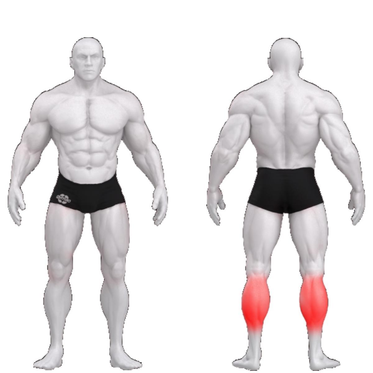 Gym80 Säärelihastemasin istudes, raskusketastega laetav, Pure Kraft, muscles. Tootekood: 4026