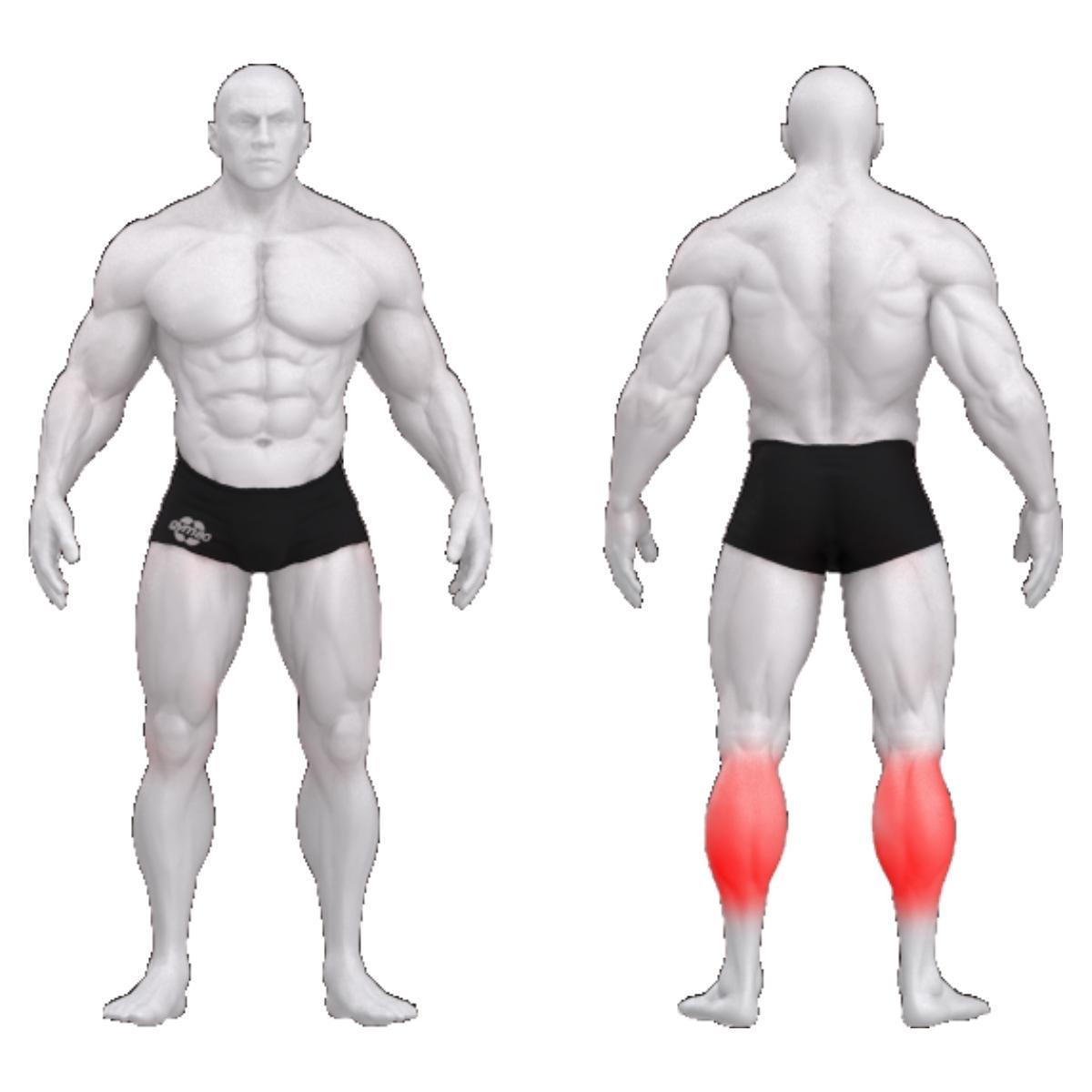 Gym80 Sääretõstemasin 55° püstises asendis, raskusketastega laetav Pure Kraft, muscles. Tuotekood: 00004345