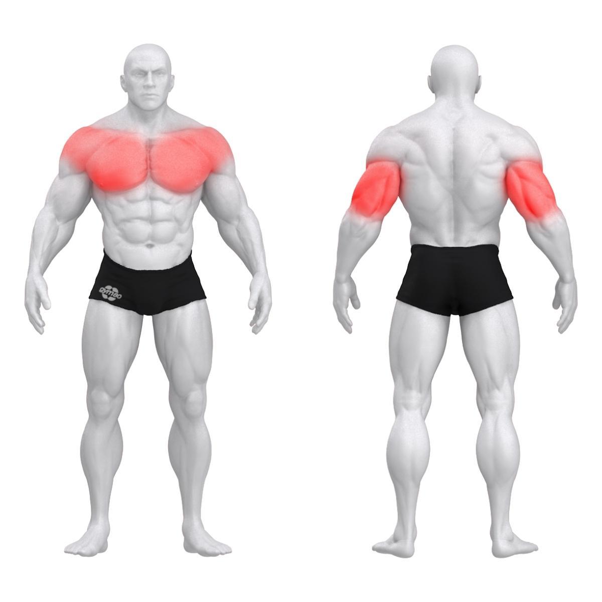 Gym80 Negatiivse kaldega surumismasin DUAL, raskusketastega laetav, Pure Kraft Strong, muscles. Tuotekood: 00004362