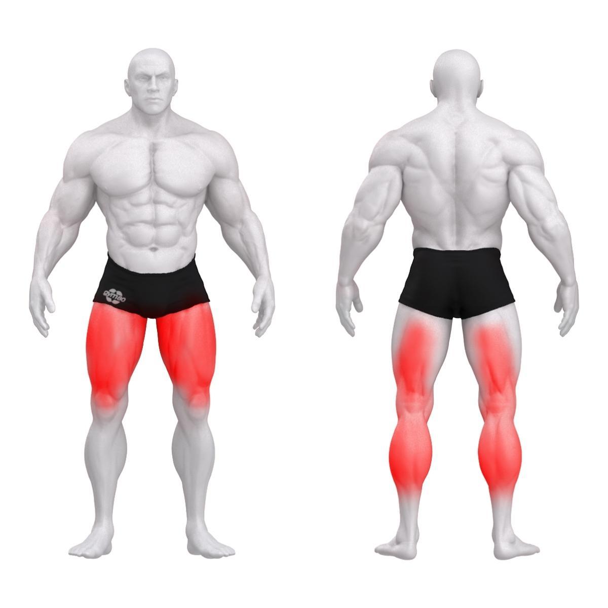 Gym80 Jalapress Dual, Pure Kraft Strong, muscles. Tuotekood: 00004361