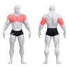 Gym80 Kahefunktsiooniline surumispink, raskusketastega laetav, Pure Kraft Strong, muscles. Tuotekood: 00004364