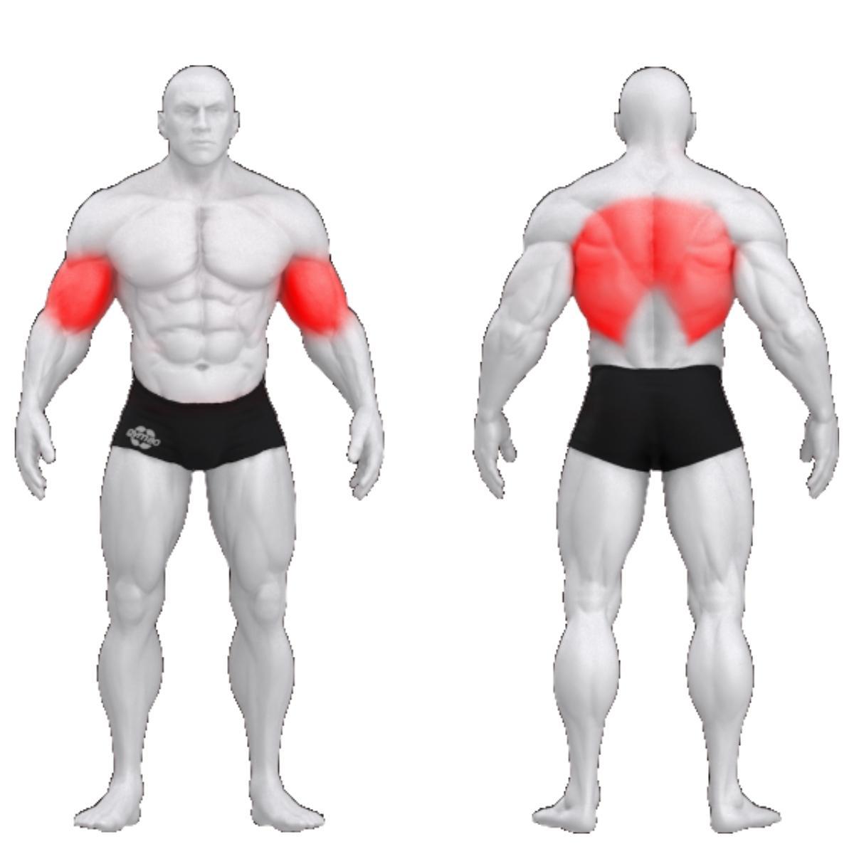 Gym80 T-pink rindkere toega, raskusketastega laetav, Pure Kraft, muscles. Tootekood: 4018