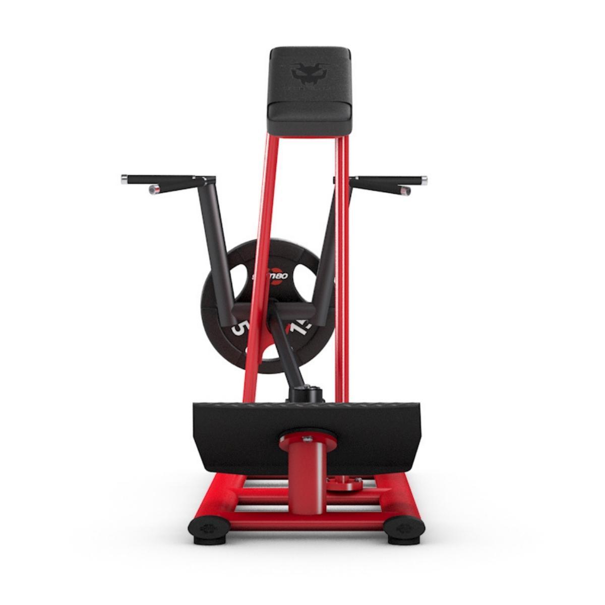 Gym80 T-pink rindkere toega, raskusketastega laetav, Pure Kraft, back. Tootekood: 4018