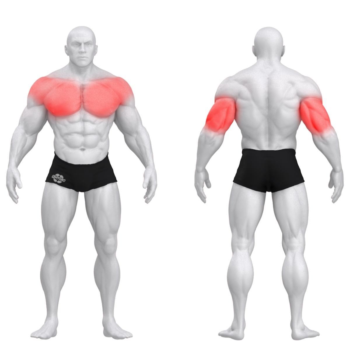Gym80 Kaldpingiga surumismasin DUAL, Pure Kraft, muscles. Tootekood: 4329 Gym80 Kaldpingiga surumismasin DUAL, Pure Kraft, muscles. Tootekood: 4329