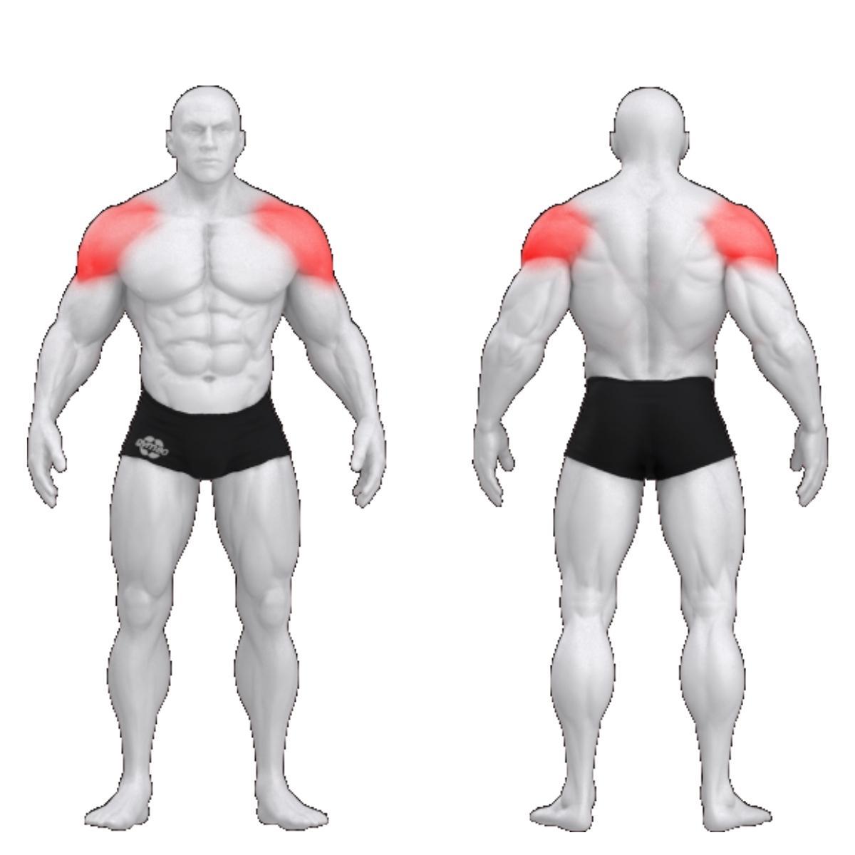 Gym80 Õlasurumismasin, Pure Kraft, muscles. Tuotekood: 00004325