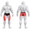 Gym80 Pivot Jalapress, Pure Kraft, muscles. Tuotekood: 00004324