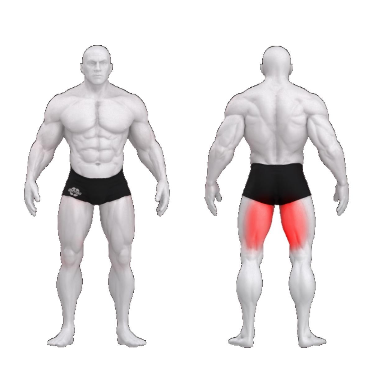 Gym80 Reie painutus plokkmasin püstisasendis, Sygnum Standard, muscles. Tuotekood: 3013