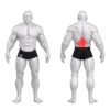 Gym80 Alaselja plokkmasin, Sygnum Standard, muscles. Tuotekood: 3007