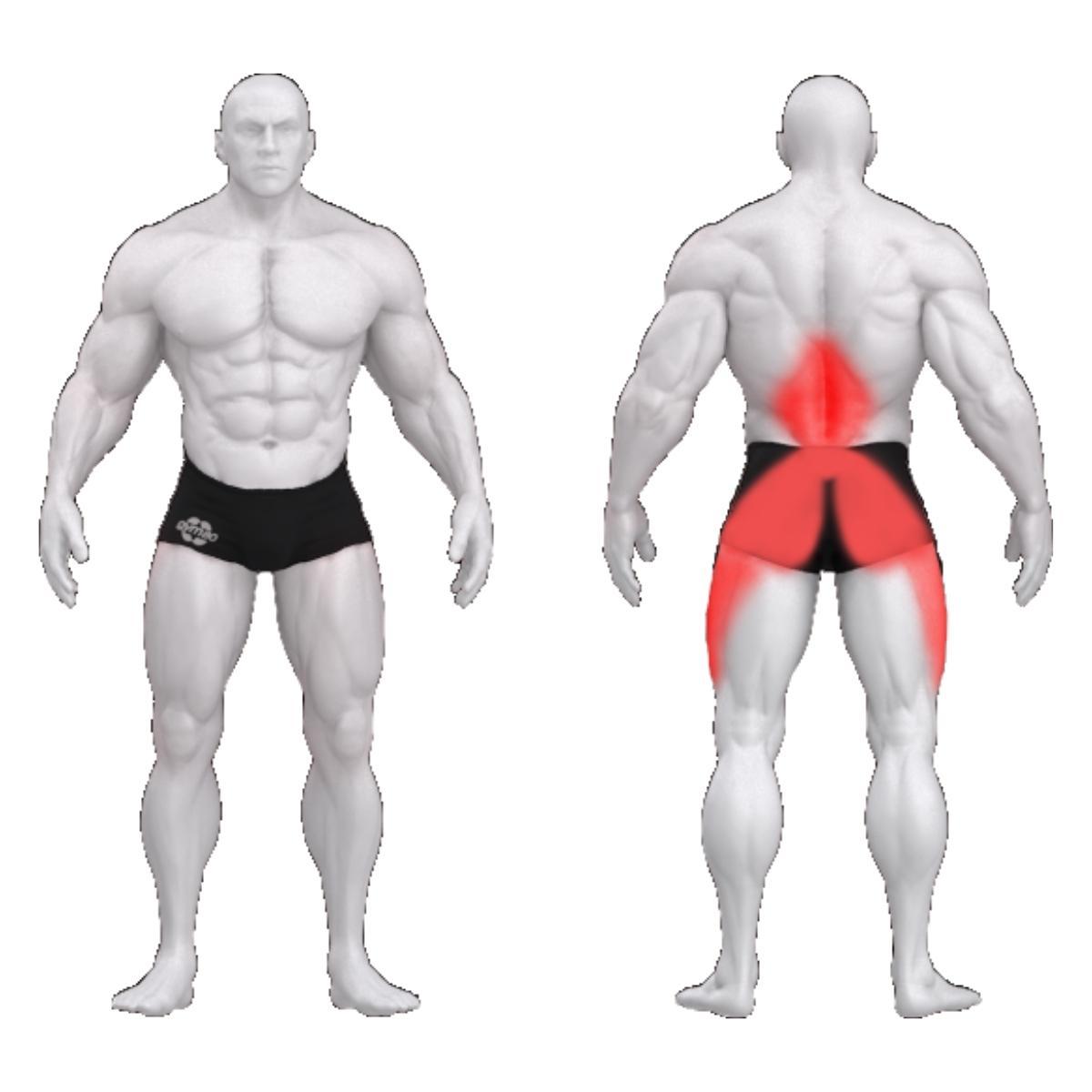 Gym80 Syngum Standard tuhara plokkmasin, Pure Kraft, muscles. Tuotekood: 00004416