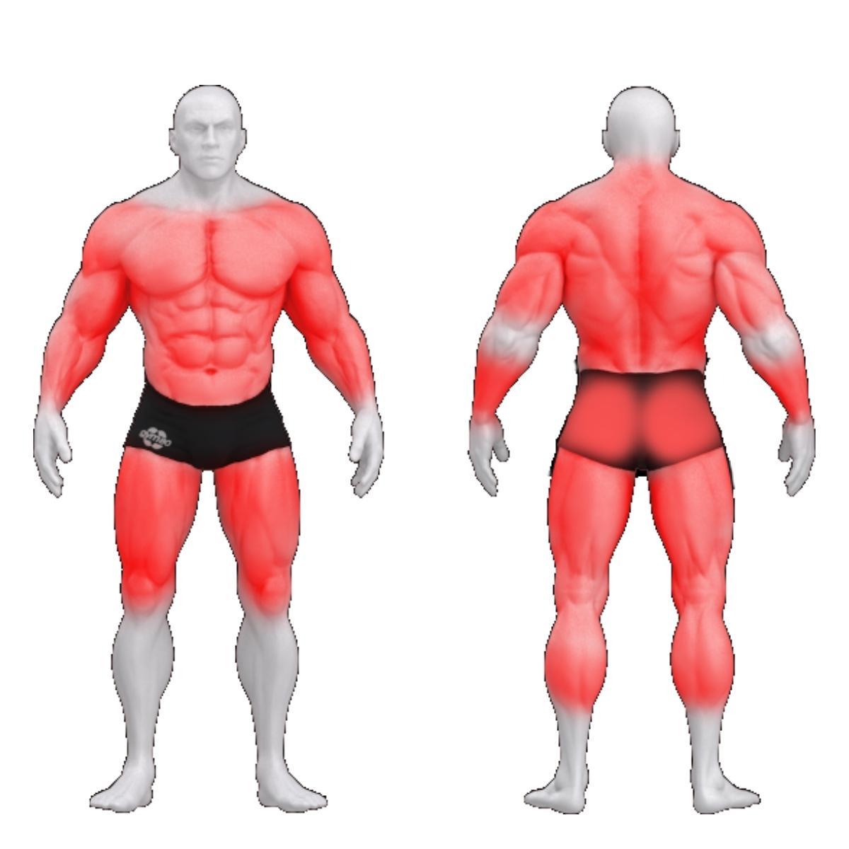 Gym80 Ristiveo masin, Syngum Standard, muscles. Tuotekood: 4004 Gym80 Ristiveo masin, Syngum Standard, muscles. Tuotekood: 4004