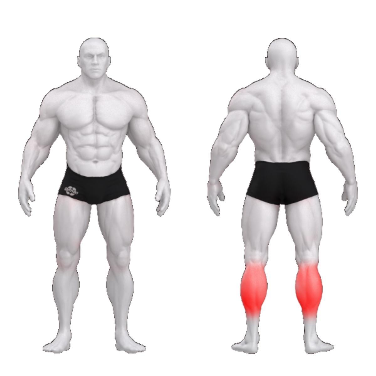 Gym80 Sääre plokkmasin püstises asendis, Sygnum Standard, muscles. Tootekood: 3018