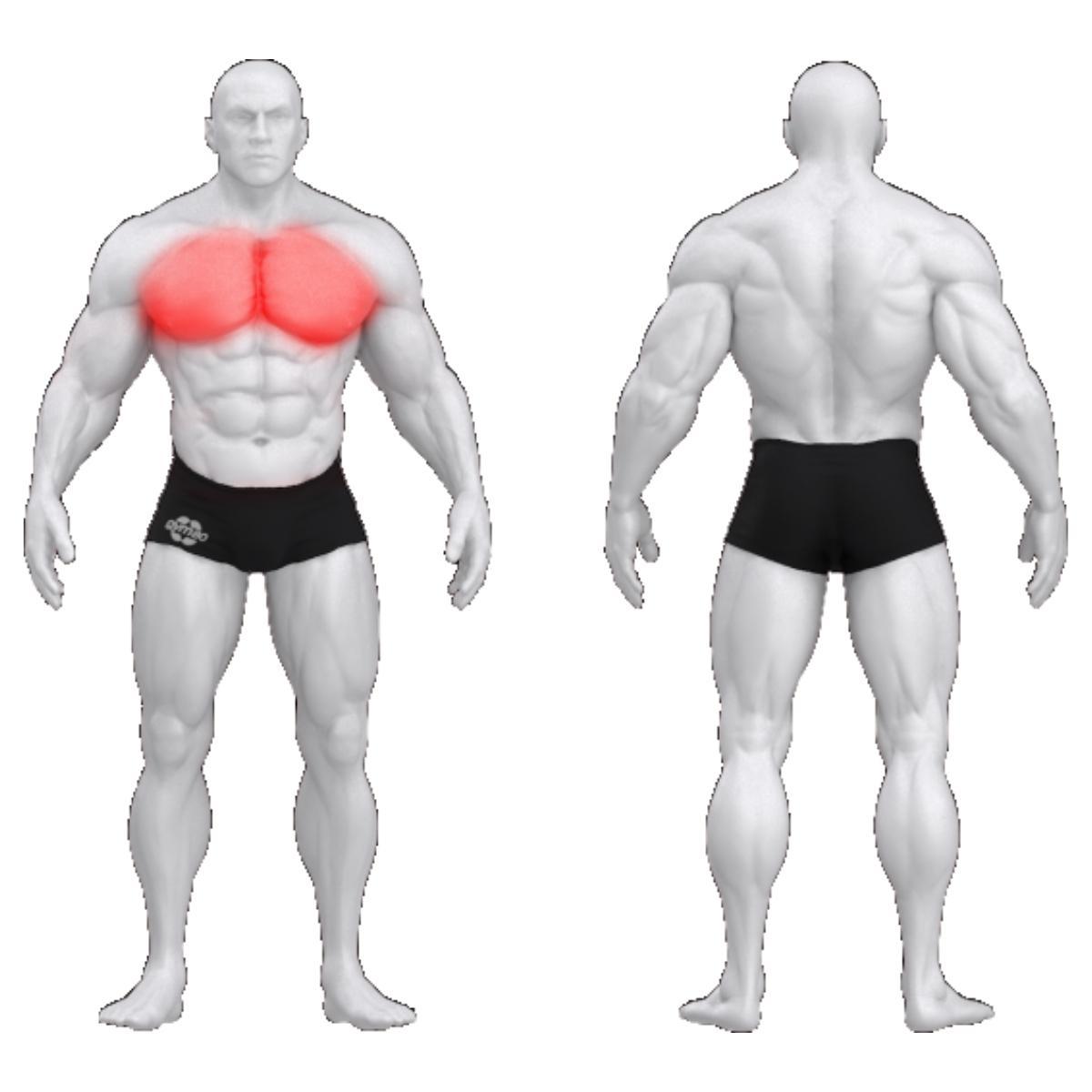 Gym80 Rinnalihase lendamise plokkmasin kätepatjadega, Sygnum Standard, muscles. Tootekood: 3021