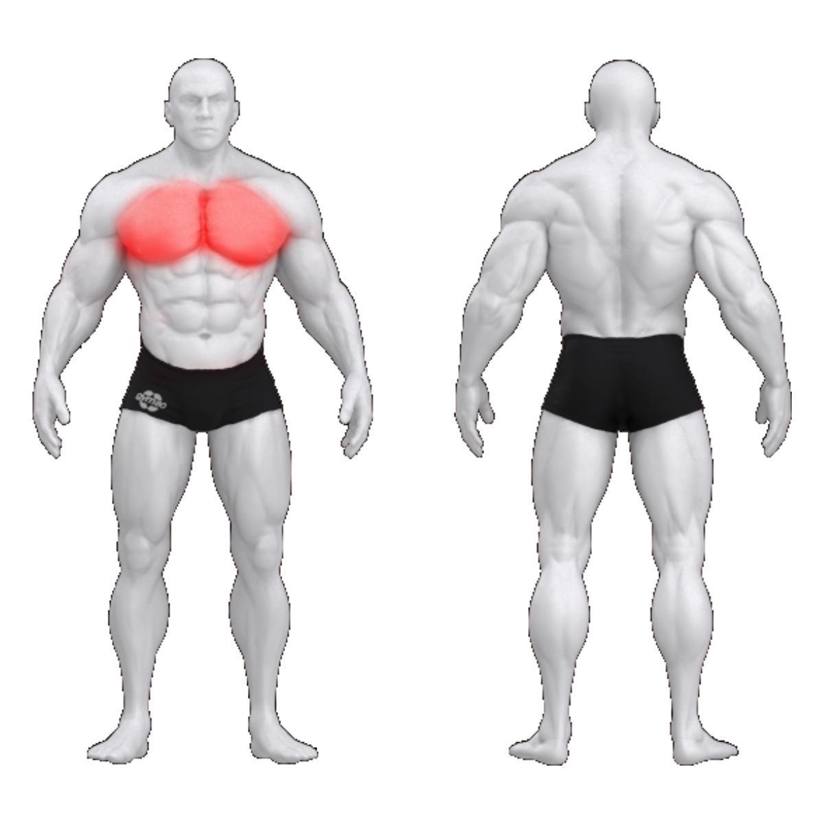 Gym80 Rinnalihaste lendamise plokkmasin, Sygnum Standard, muscles. Tootekood: 3022