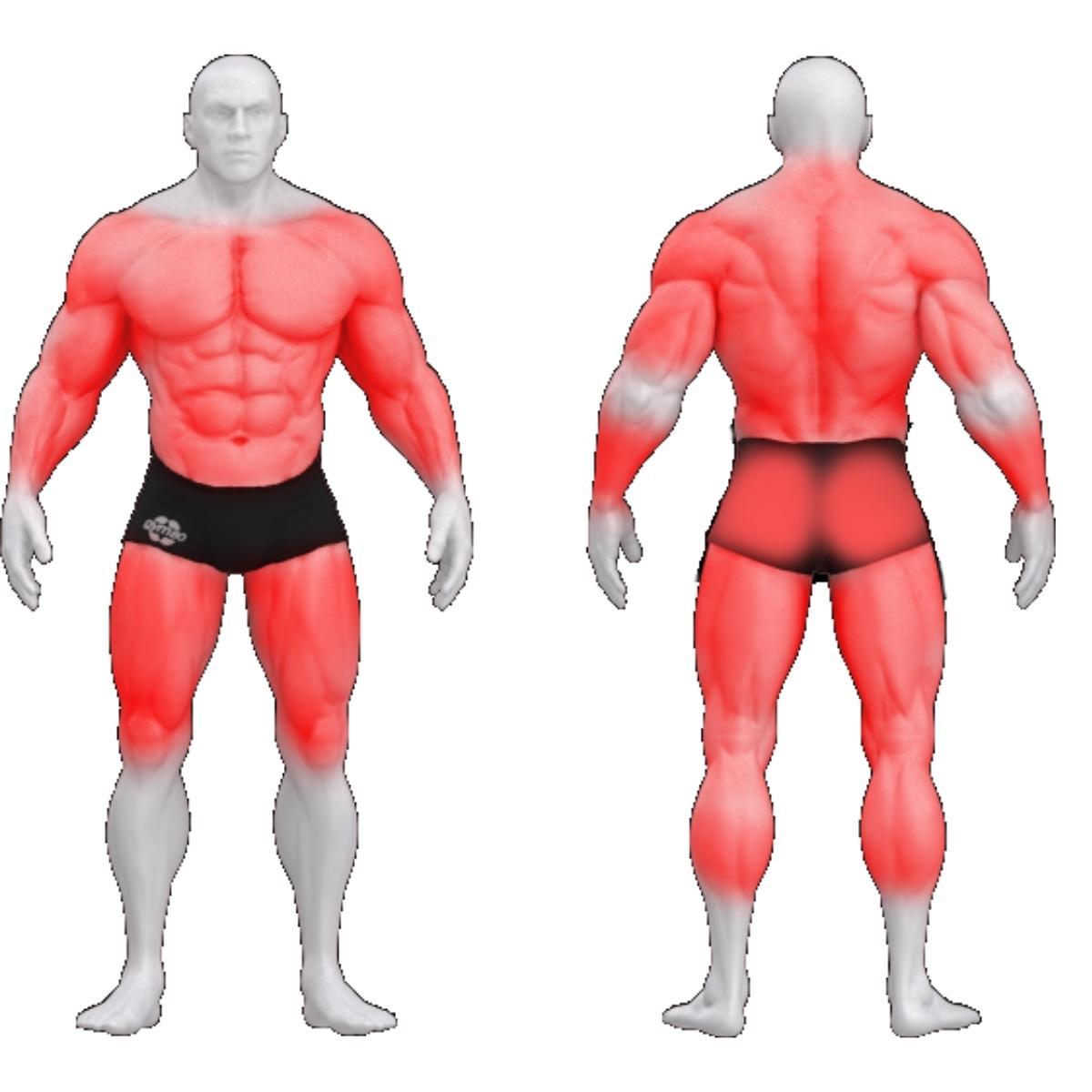 Gym80 Multipress smithi masin, Sygnum Basic, muscles. Tootekood: 4002