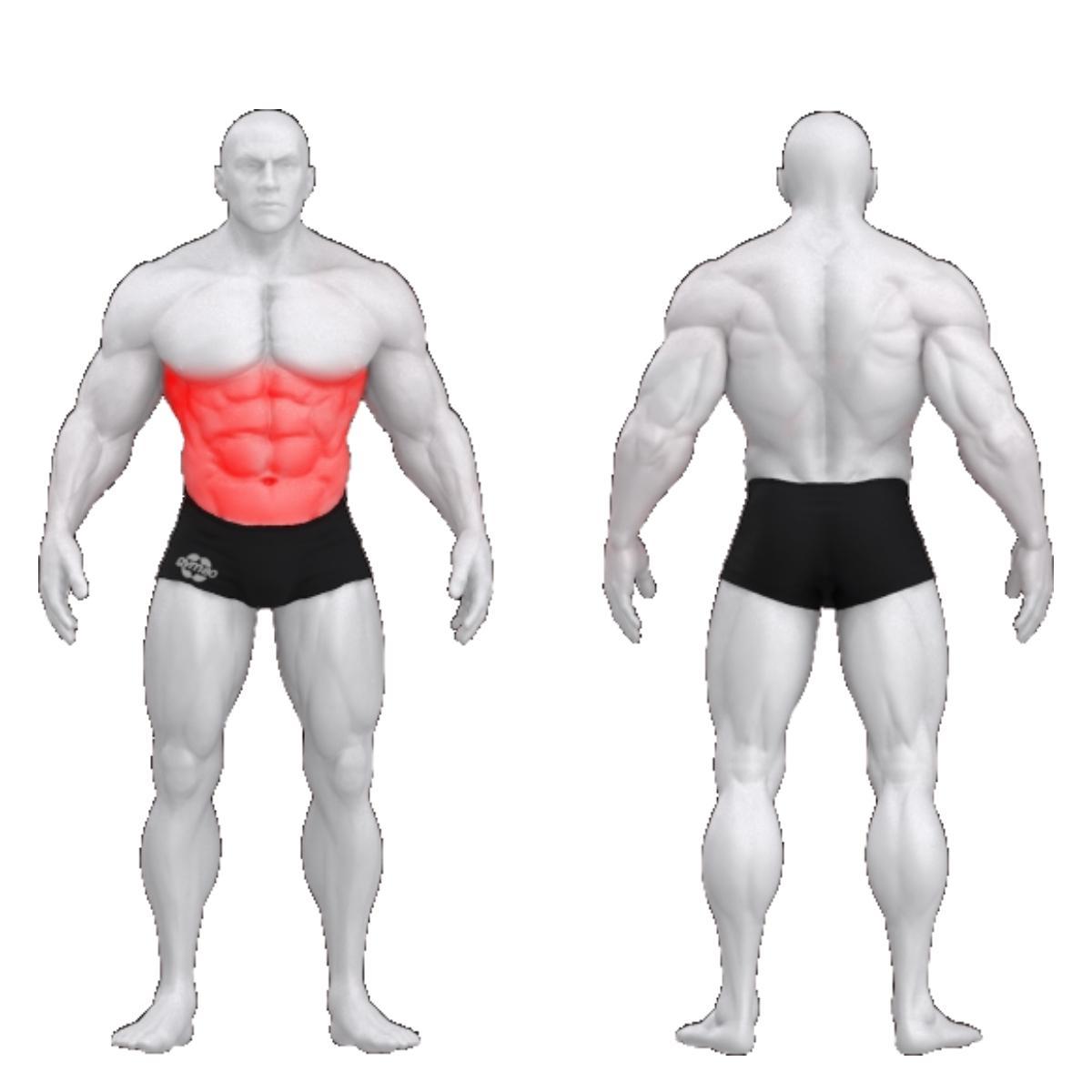 Gym80 Kõhupink negat.kaldega, Sygnum Basic, muscles. Tootekood: 4028 Gym80 Kõhupink negat.kaldega, Sygnum Basic, muscles. Tootekood: 4028