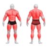 Gym80 Step alus, Sygnum Basic, muscles. Tuotekood: 00004922