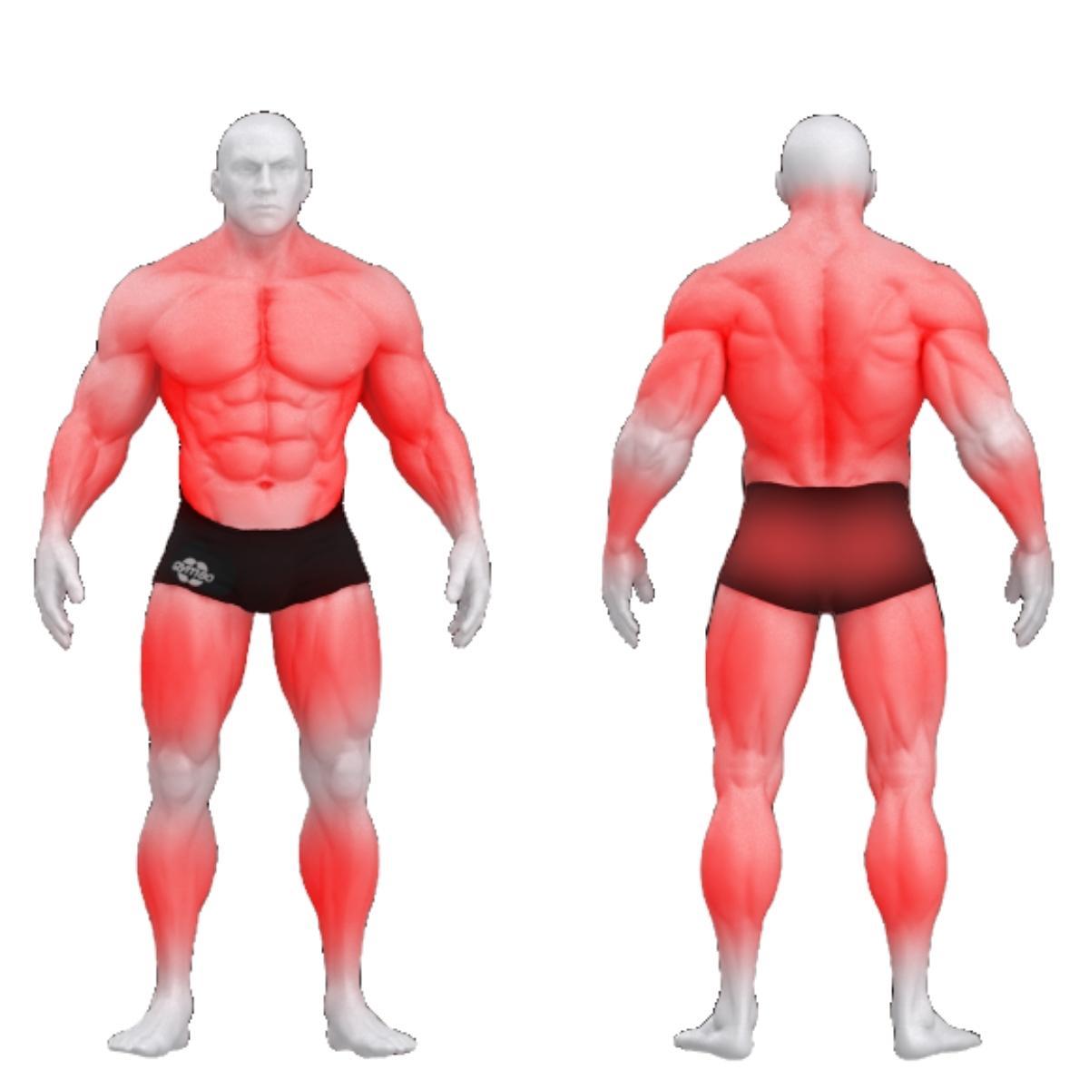 Gym80 Reguleeritav kaldpink jalatoega, Sygnum Basic, muscles. Tootekood: 4011