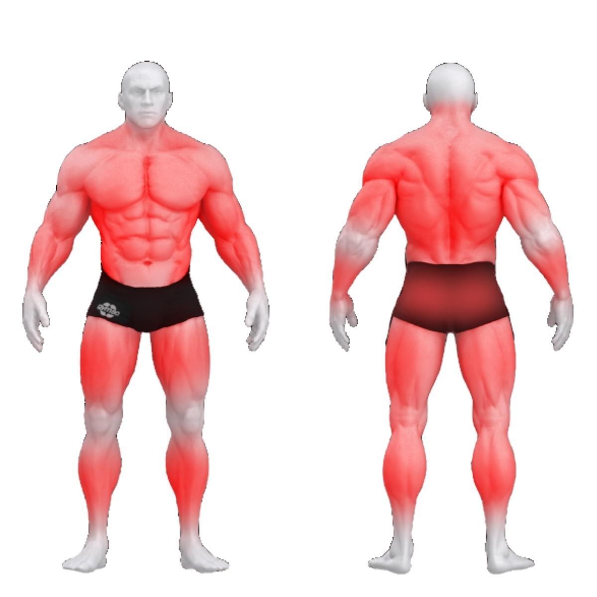 Gym80 Tasapink, Sygnum Basic, muscles. Tootekood: 4005