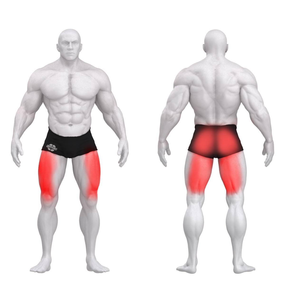 Gym80 DUAL Jalapress, Sygnum Dual, muscles. Tuotekood: 3046