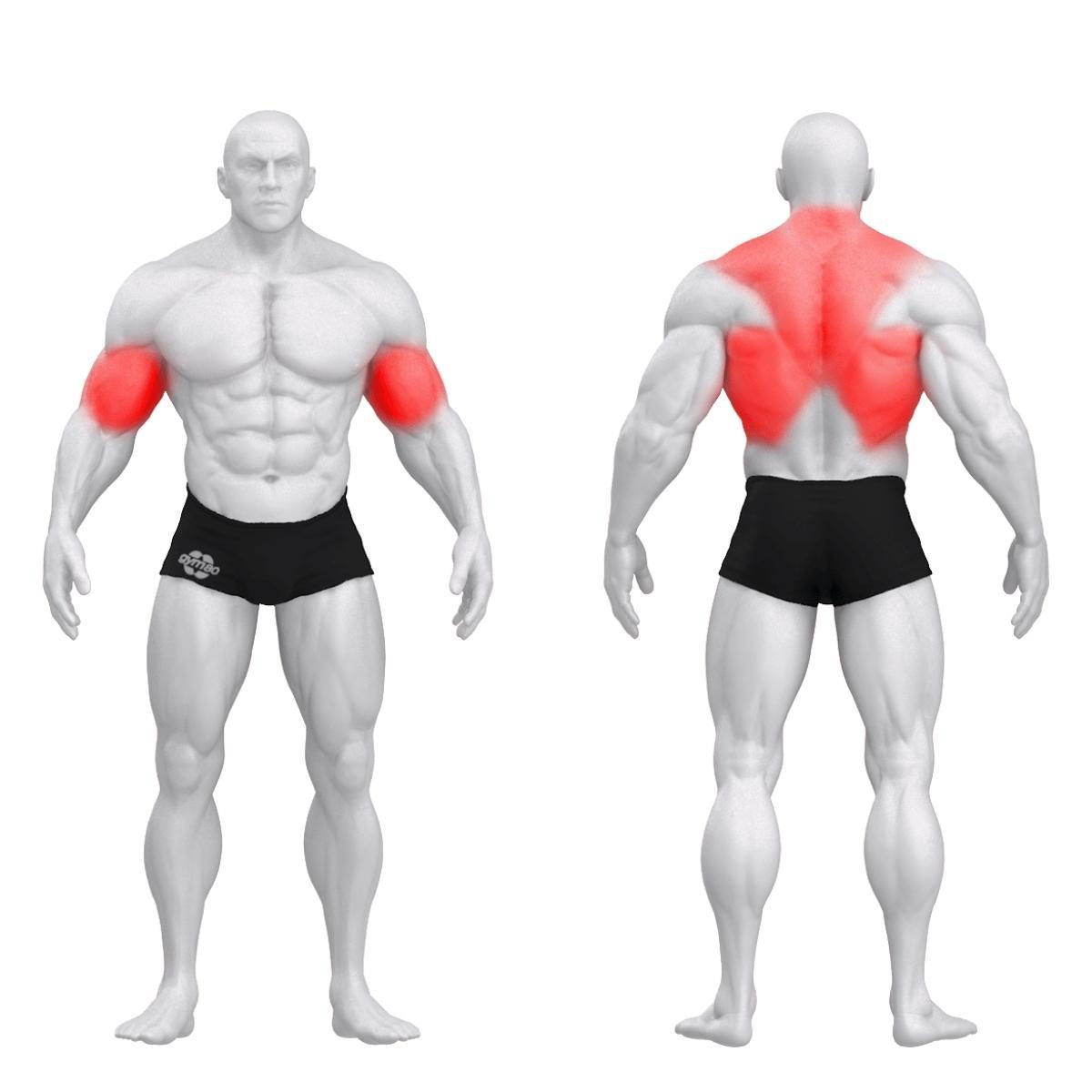 Gym80 Rinnatoega selja alatõmbemasin, Sygnum Dual, muscles. Tuotekood: 3045