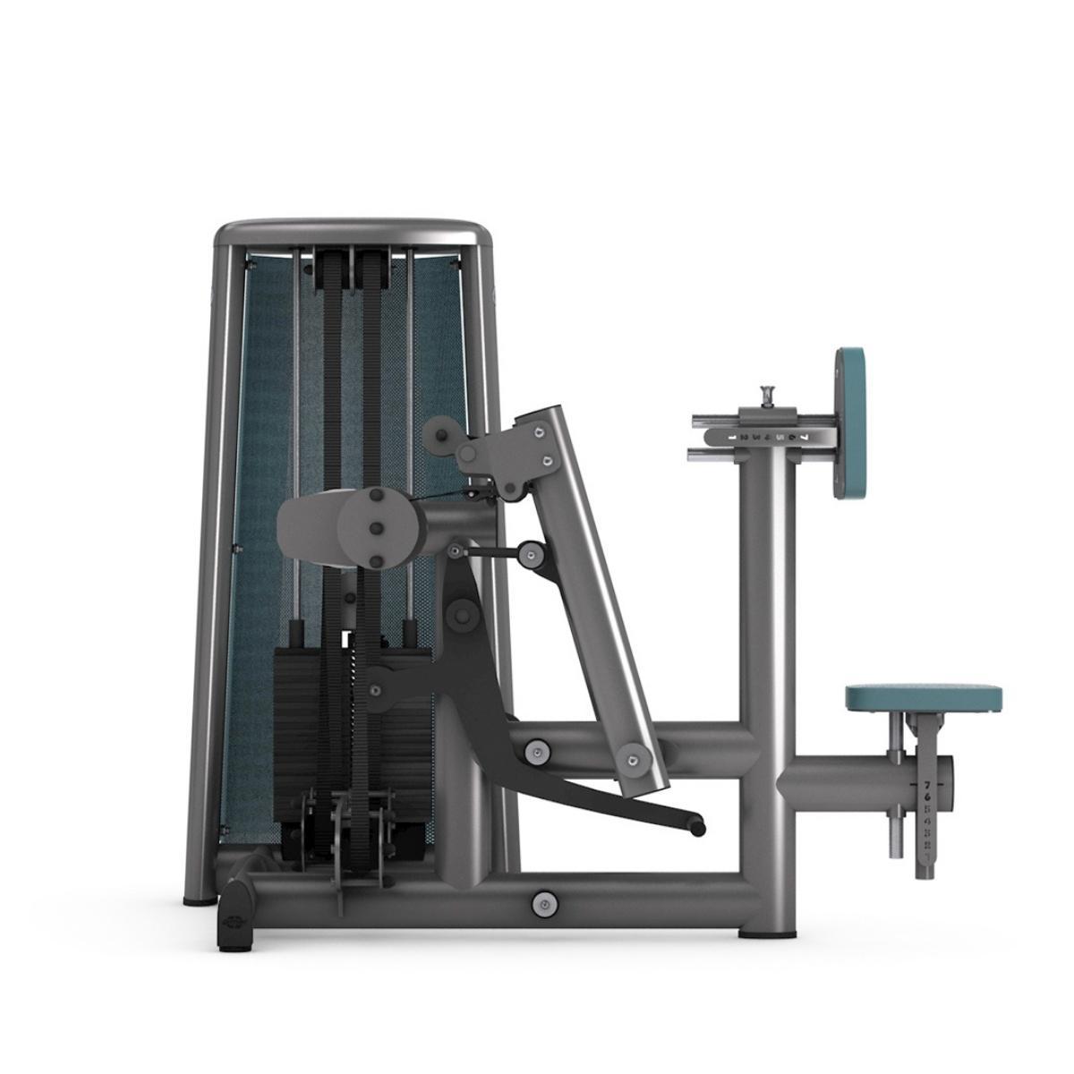 Gym80 Rinnatoega selja alatõmbemasin, Sygnum Dual, side. Tuotekood: 3045