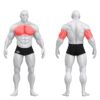 Gym80 Kaldpingiga rinnalt surumise masin, Sygnum Dual, muscles. Tuotekood: 3042