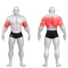 Gym80 4-osaline plokkide süsteem, Sygnum Standard, muscles. Tootekood: 4032