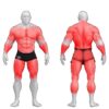 Gym80 5-osaline plokksüsteem, Sygnum Standard, muscles. Tootekood: 4044