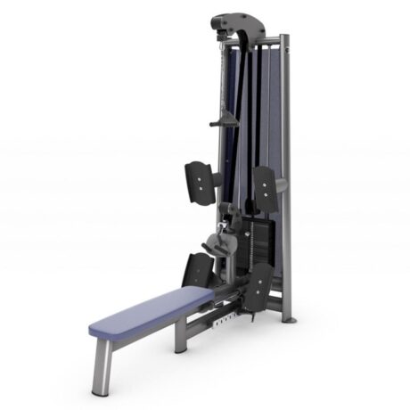 Gym80 Kaldega seljatõmbemasin, Sygnum Standard. Tuotekood: 00004900