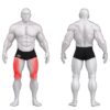 Gym80 Jalapress plokkmasin lamades asendis, Sygnum Standard, muscles. Tootekood: 3031
