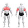 Gym80 Istudes rinnalt surumise masin, Sygnum Dual, muscles. Tuotekood: 3041