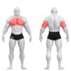 Gym80 Istumisasendis rinnalt surumise plokkmasin, Sygnum Standard, muscles. Tootekood: 3016