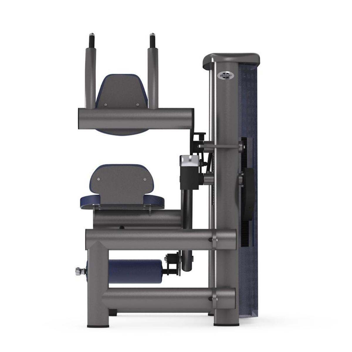 Gym80 Kõhulihaste plokkmasin, Sygnum Standard, back. Tuotekood: 3008