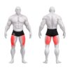 Gym80 Jalapress, Sygnum Innovation, muscles. Tootekood: 5001