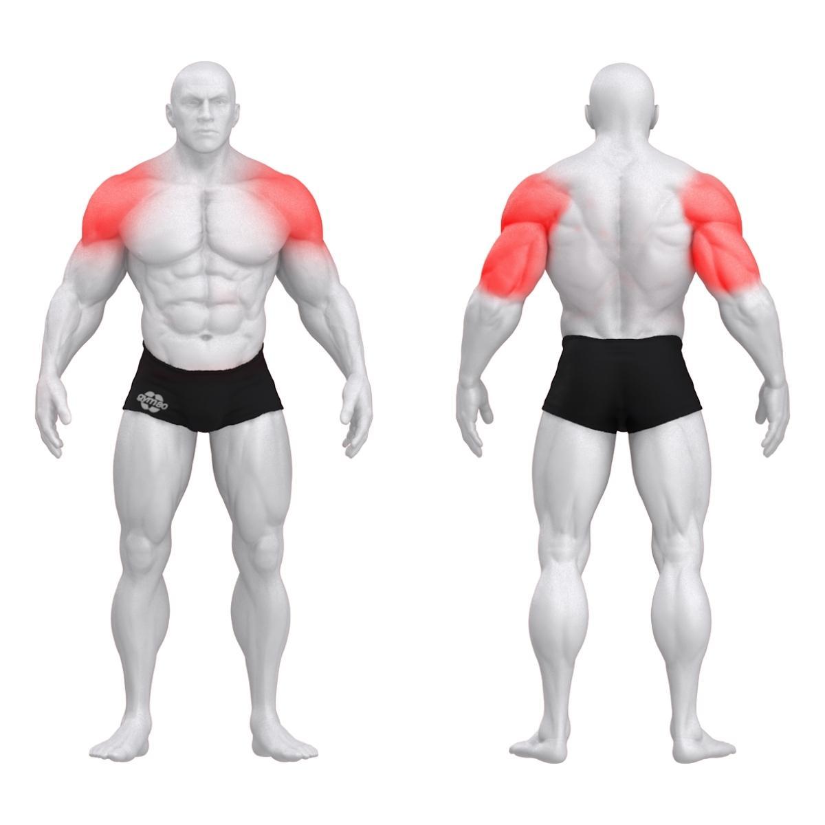 Gym80 Õlasurumismasin DUAL, Pure Kraft, muscles. Tootekood: 4320