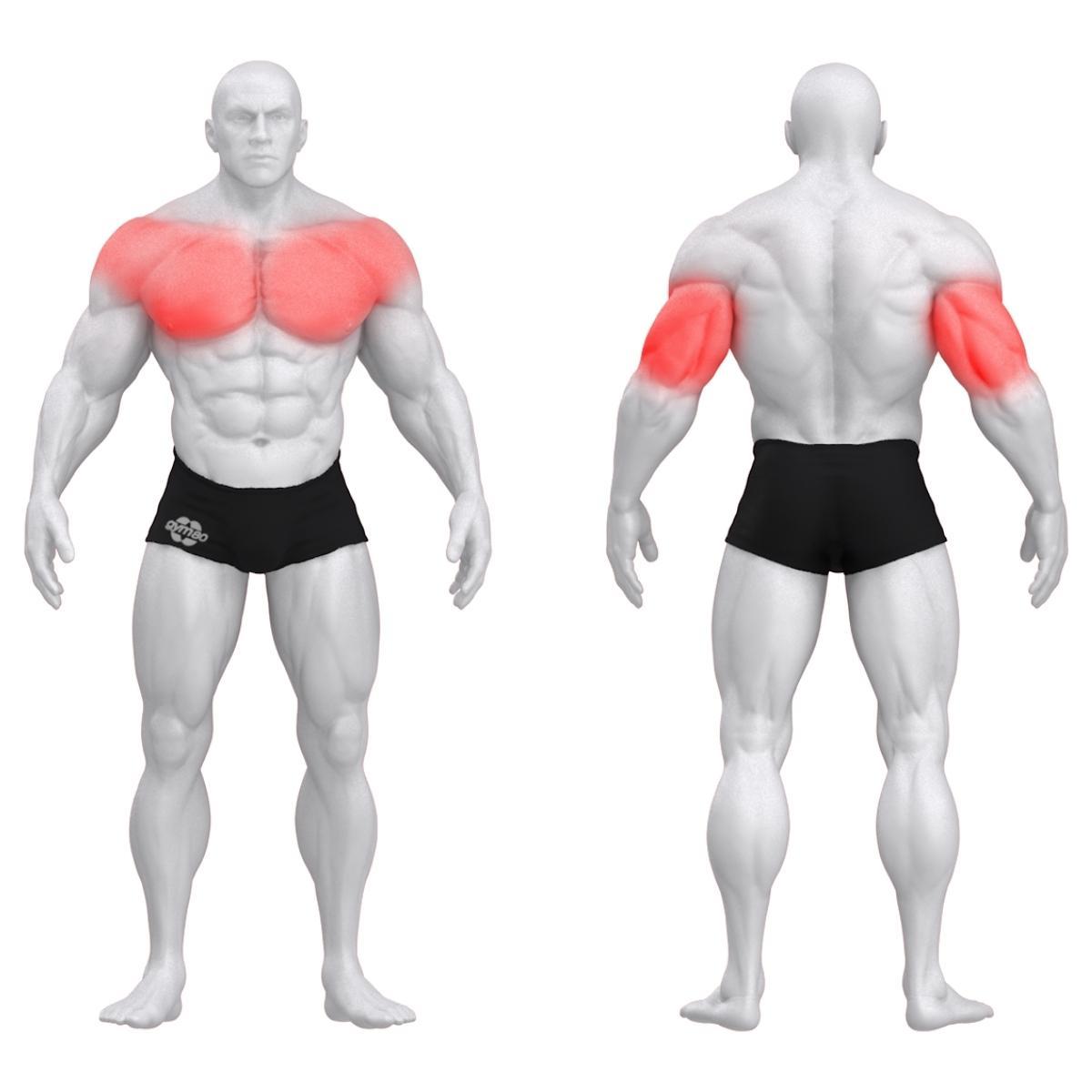 Gym80 Rinnalt surumise masin DUAL, istudes Pure Kraft, muscles. Tootekood: 4328